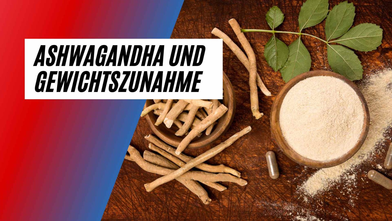 Kann Man Mit Ashwagandha Abnehmen supplement-bewertung.com
